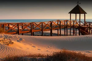 Despedidas Cádiz - Despedida de Soltero y Soltera Cádiz - imagen 5